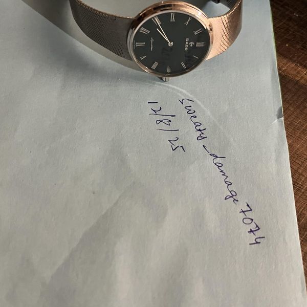 [WTS] rado lepordeluxe.solid silver,stone dial watch. $195 …