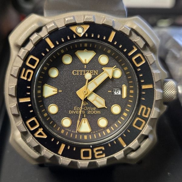 Citizen Promaster titanium dive watch, BN0220-16E " landmin…