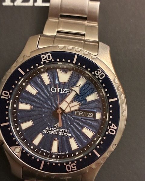 Citizen Promaster Automatic NY0136-52L