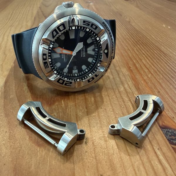 Citizen Ecozilla RFN
