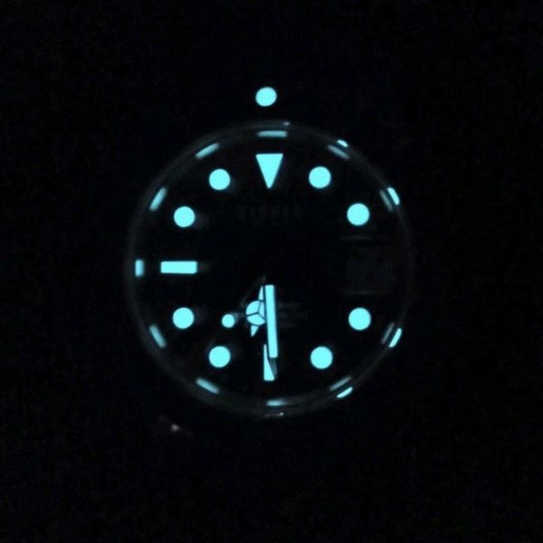 Tisell Marine diver