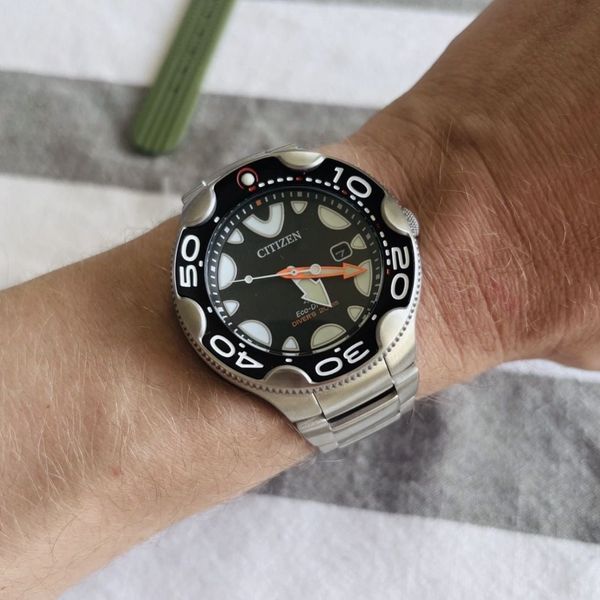 Citizen Orca