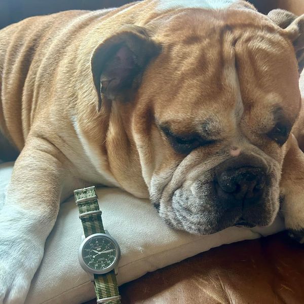 [WTS] Seiko 5 SNK805