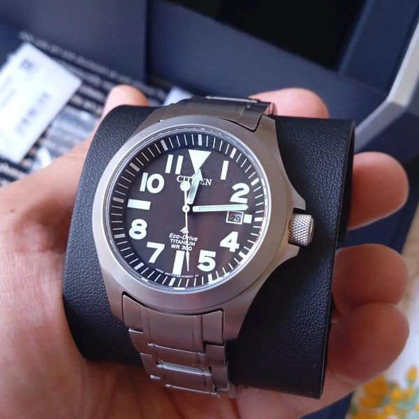 CITIZEN PRO MASTER "RAY MEARS"